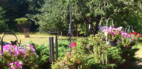 Colleen & Ernie's house in Poulsbo, Washington.�������N���b�N