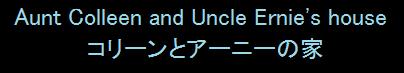 We had a great time at Aunt Colleen's and Uncle Ernie's house.