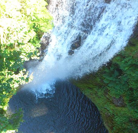 David, Kanako, Josh ans Erika.This picture was taken near the Bonnevile Dam visitor center.