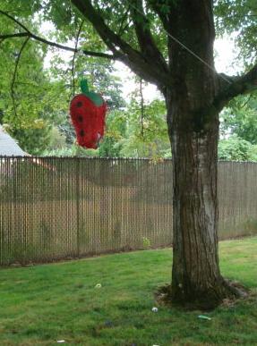 Aunt Colleen bought a pinata�������N���b�N